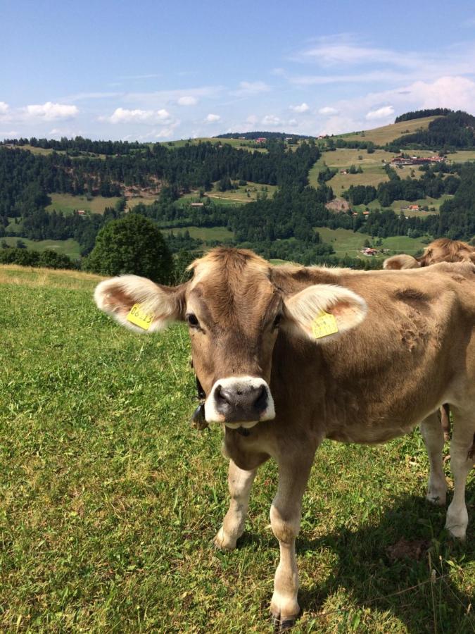 Ferienwohnungen Schindelberg mit Oberstaufen-PLUS Exterior foto