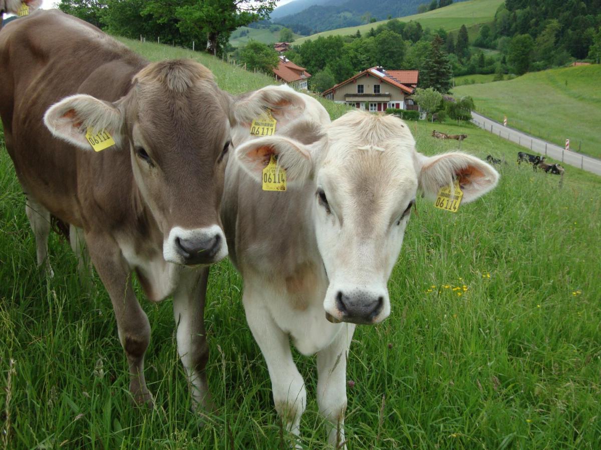 Ferienwohnungen Schindelberg mit Oberstaufen-PLUS Exterior foto